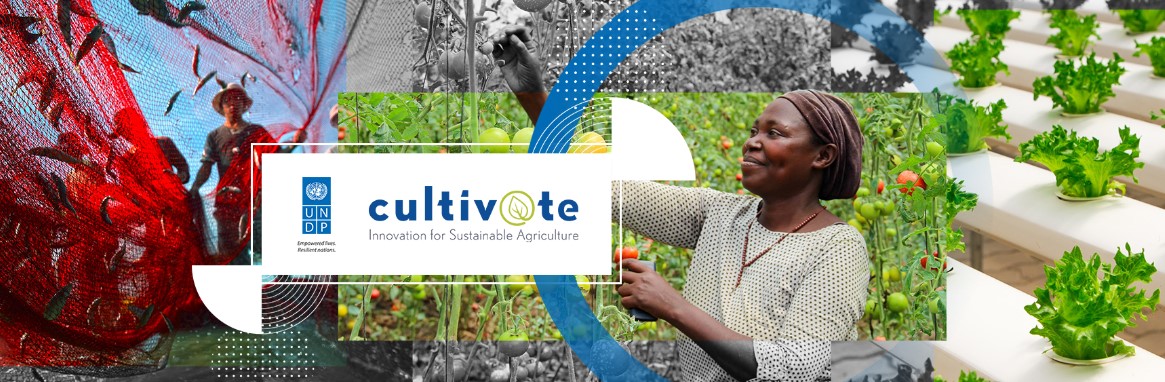 Cultiv@te – Innovation for Sustainable Agriculture
